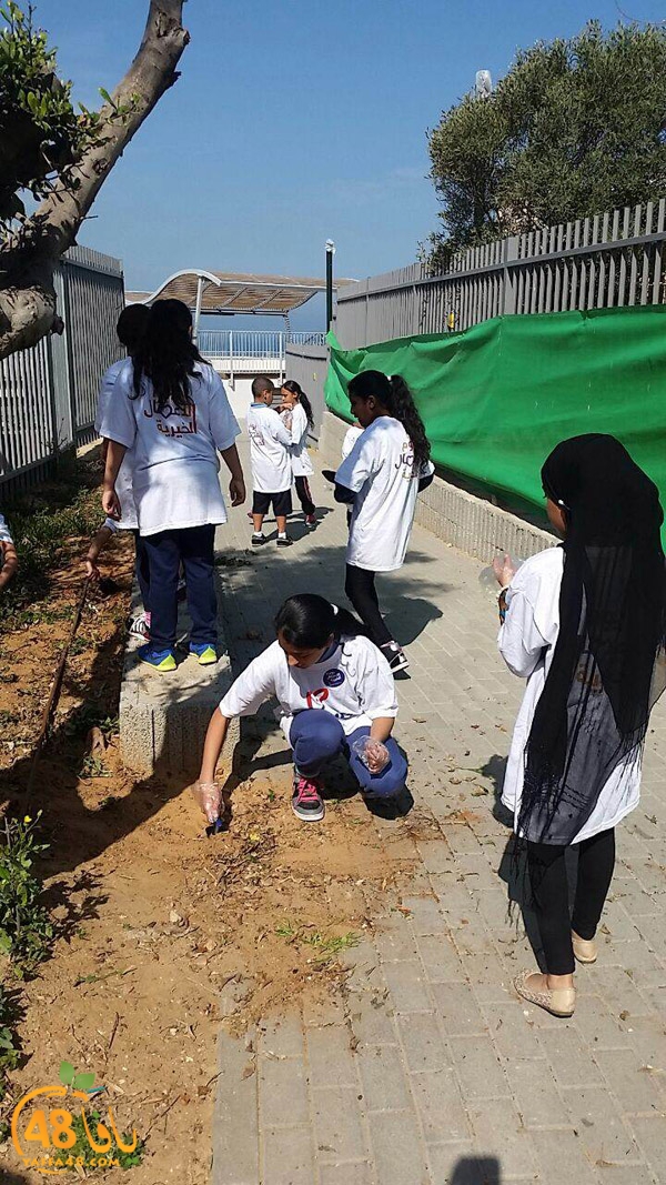 a3mal tayeba 7san3arafa (19).JPG